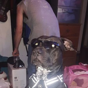 Meet your Posher, Philip